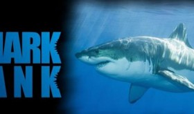 Shark Tank Season Four Products