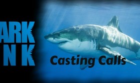 season 5 casting calls Shark Tank Casting