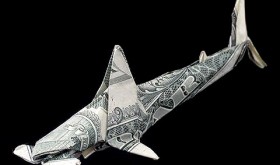 shark tank effect cash flow