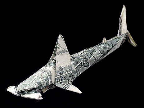 shark tank effect cash flow