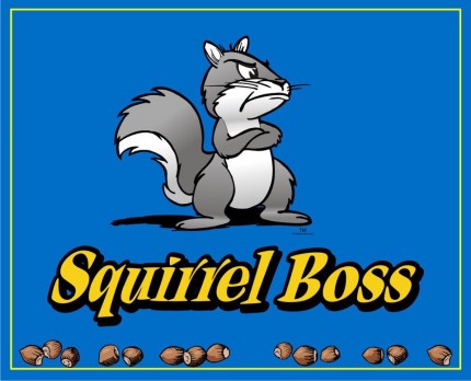 squirrel Boss