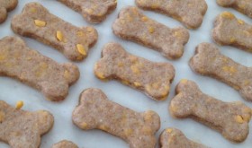 ryans barkery home made dog treats episode 424 Shark Tank Season 4