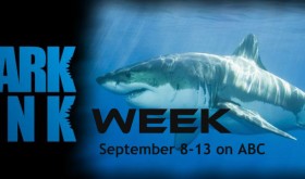 Shark Tank Week
