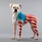 Pet Paint