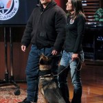 dog training