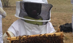 bee sweet lemonade stand