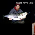 striper lures
