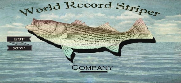 world record striper company