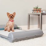 brilliantpad