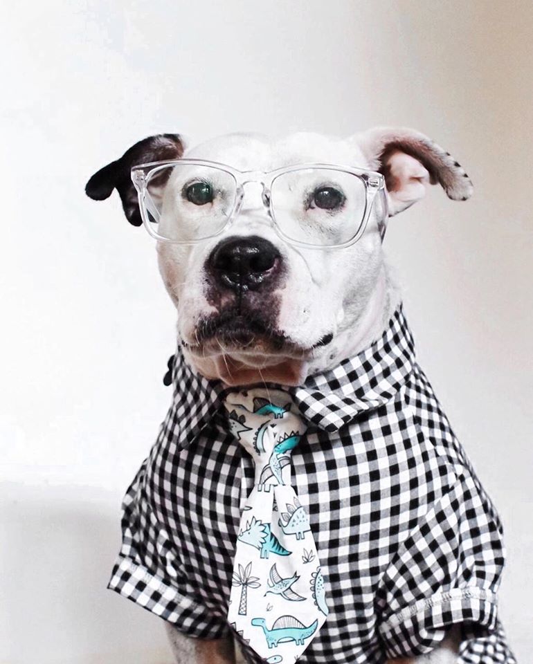 dogthreads