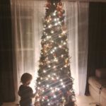 easy treesy