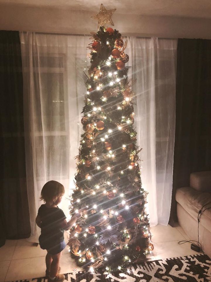 Shark tank hotsell christmas tree lights