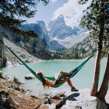 yellow leaf hammocks