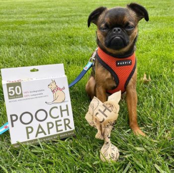 poochpaper