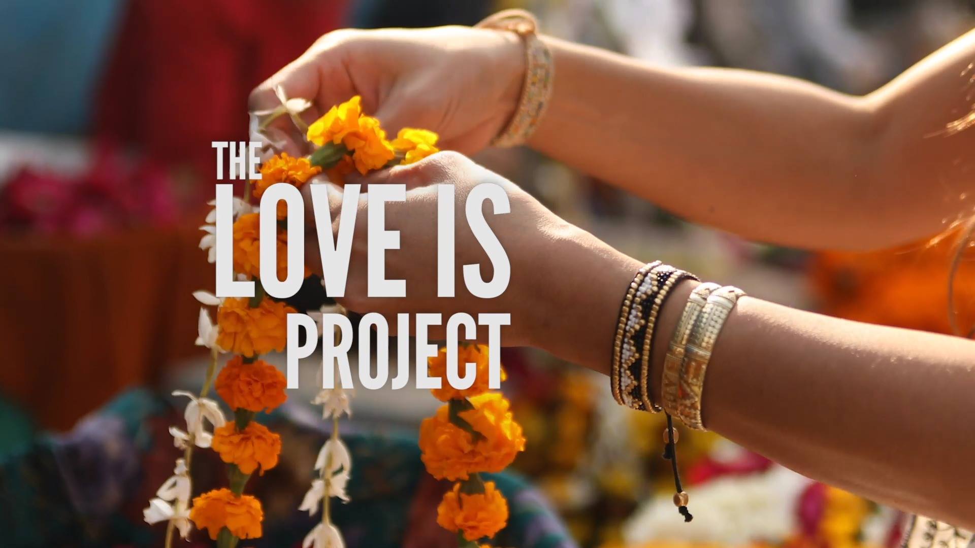 Love Is Project Shark Tank Blog