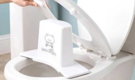 the super potty trainer