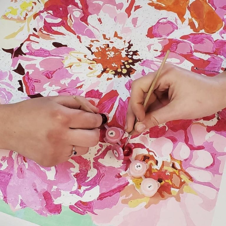 Pink Picasso Kits Paint by Numbers for Grown Ups Shark Tank Blog