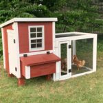 OverEZ Chicken Coop Shark Tank Update – Shark Tank Season 13