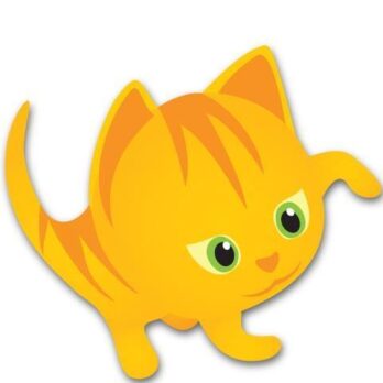 cat amazing