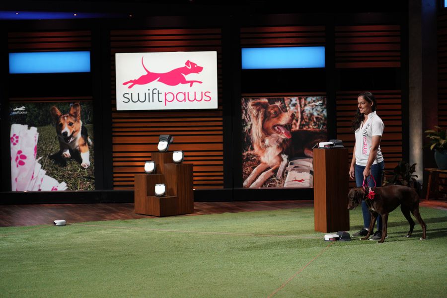 swift paws