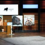 Woof Shark Tank Update – Shark Tank Season 14