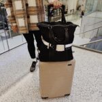cincha travel belts