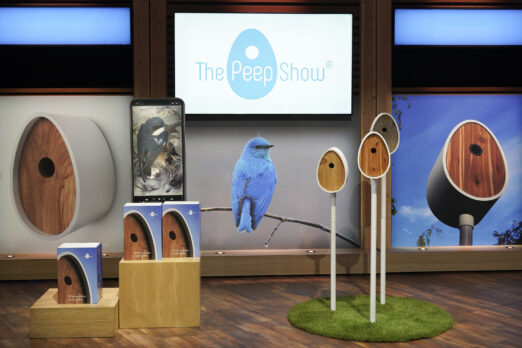 the peep show