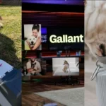 Shark Tank Products