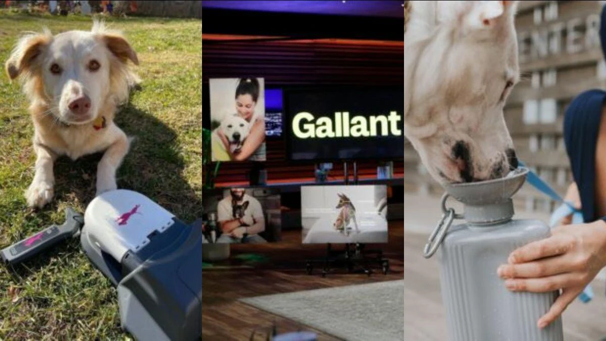 top-shark-tank-products-for-dog-owners