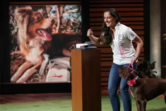 SwiftPaws returns on Season 17 Episode 10