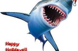 holiday gift shark