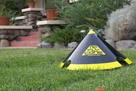 no fly cone fly trap