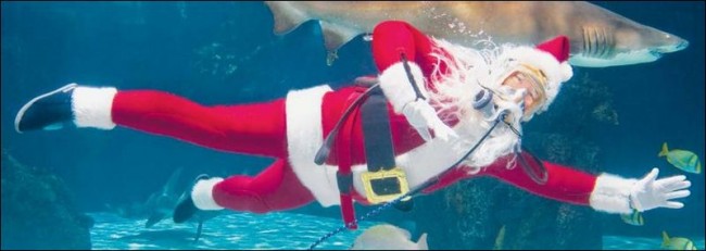 santa shark holiday shark tank Re-Run